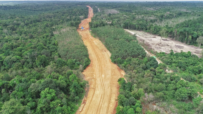 Coal News Coal Markets Indonesia Haul Road